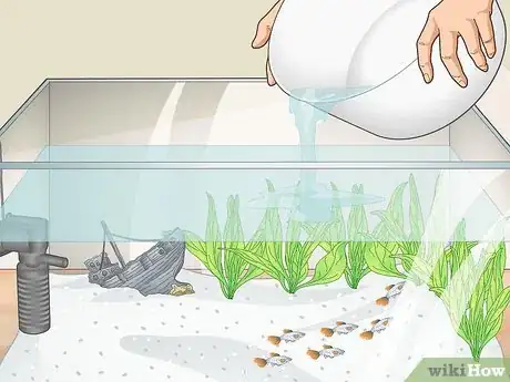 Image titled Clean a Planted Fish Tank Step 10