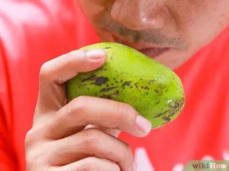 Image titled Ripen Mangoes Step 4