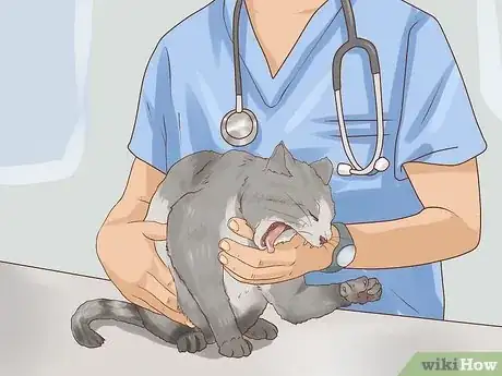 Image titled Save a Choking Cat Step 12