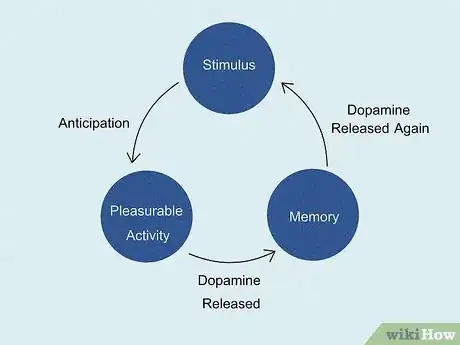 Image titled What Is Dopamine Step 4