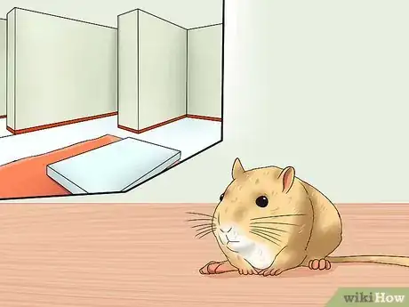 Image titled Pick up a Gerbil Step 1