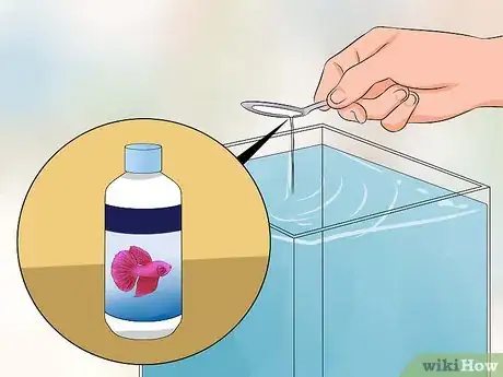 Image titled Help a Betta Fish Live Longer Step 9