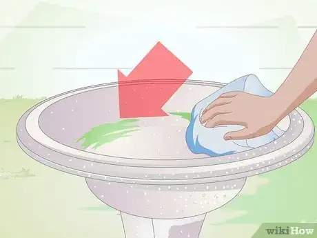 Image titled Keep Algae from Growing in Bird Bath Step 1