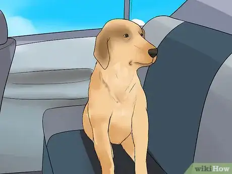 Image titled Calm a Nervous Dog in the Car Step 4