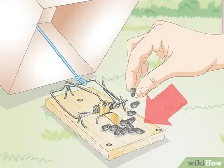 Image titled Make a Bird Trap Step 20