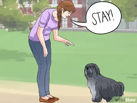 Image titled Care for Havanese Dogs Step 16