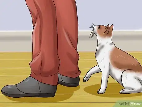 Image titled Calm Your Angry Cat Step 10