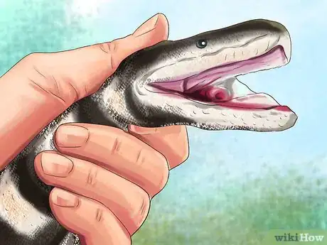 Image titled Keep a California King Snake Step 18