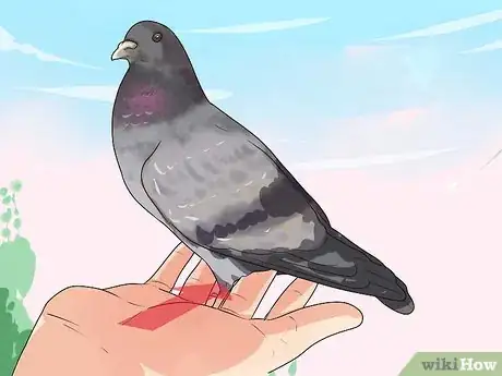 Image titled Hold a Pigeon Step 3