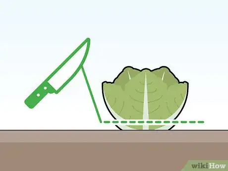 Image titled Grow Butter Lettuce Step 10