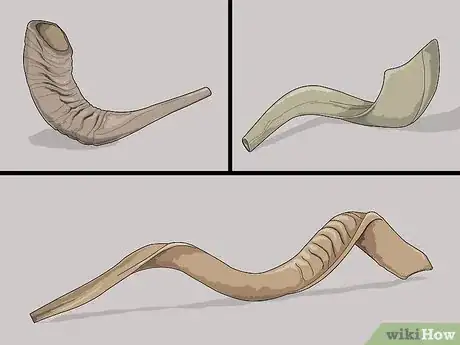 Image titled Blow a Shofar Step 1