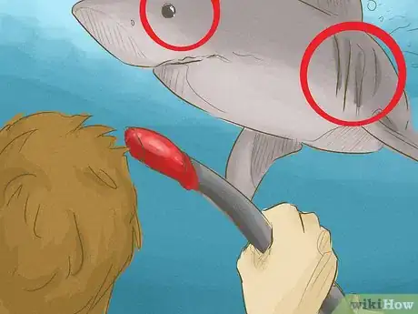 Image titled Avoid Sharks Step 13