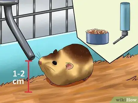 Image titled Care for Newborn Hamsters Step 9