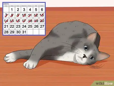 Image titled Identify if Your Cat Has Had a Stroke Step 9