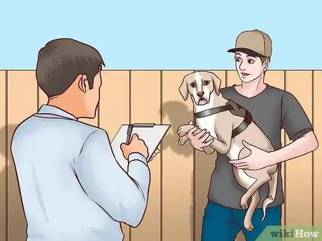 Image titled Register Your Dog As a Service Dog Step 3