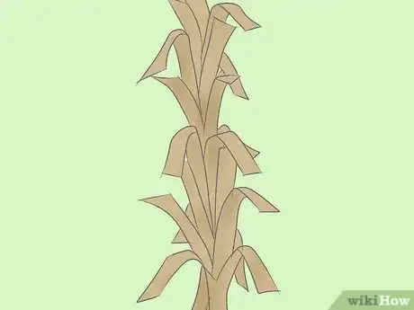 Image titled Make Corn Stalk Decorations Step 19