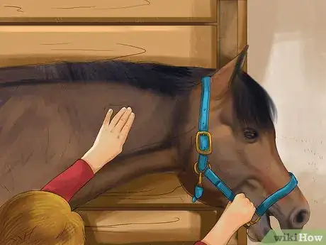 Image titled Bond With Your Horse Using Natural Horsemanship Step 7