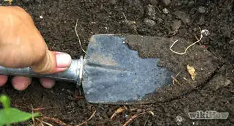 Recycle Sawdust in a Compost Pile