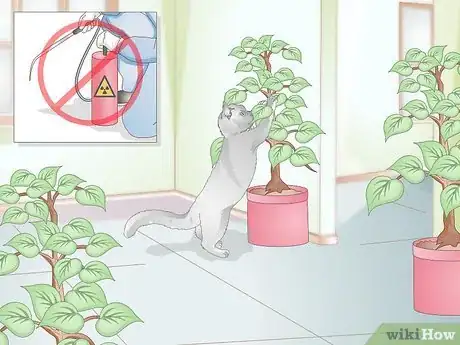 Image titled Stop Your Cat from Eating Grass Step 8