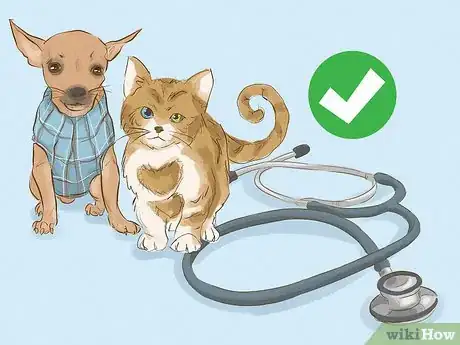 Image titled Become a Veterinarian Step 8