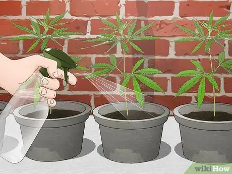 Image titled Plant Clones Step 11