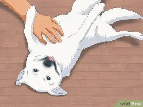 Image titled Pet a Dog Step 12