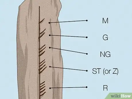 Image titled Read Ogham Stones Step 8