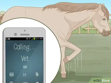 Image titled Know if Your Horse Is Sick Step 11