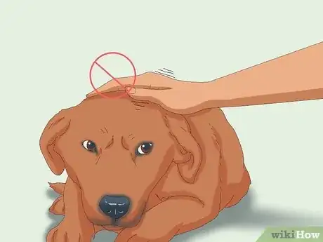 Image titled Pet a Dog Step 11