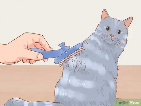 Image titled Shave a Matted Cat Step 14