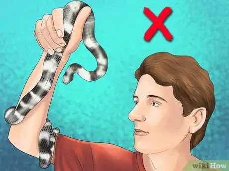 Image titled Keep a California King Snake Step 12