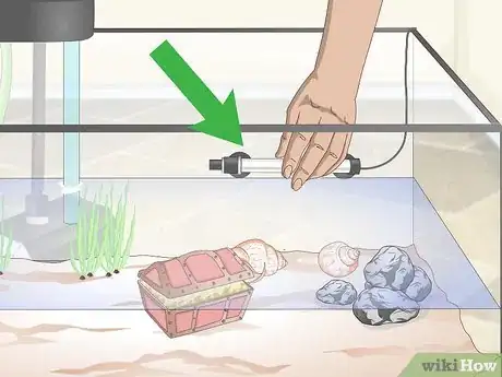 Image titled Set up a Guppy Tank Step 6