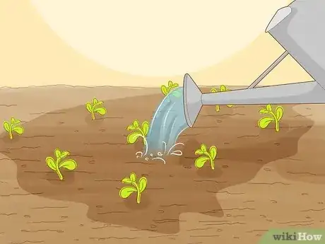 Image titled Plant a Seed Step 13