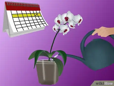 Image titled Grow Orchids Step 10