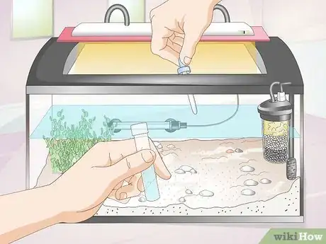 Image titled Make a Shrimp Aquarium Step 11