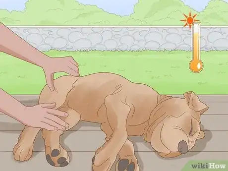 Image titled Get Rid of a Botfly in a Dog Step 13