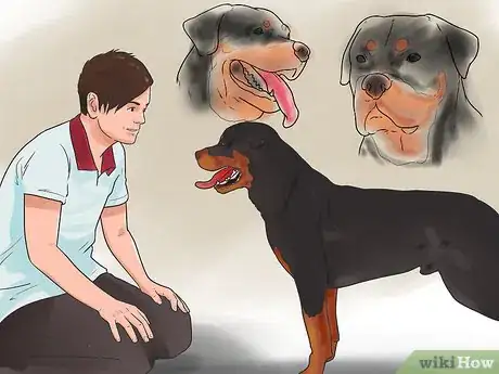 Image titled Check if Your Dog Is Healthy and Happy Step 1