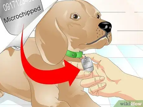 Image titled Tell if a Dog Is Microchipped Step 1