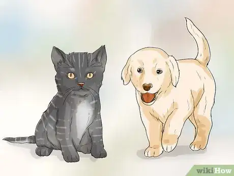 Image titled Make Your Dog Like Your Cat Step 4