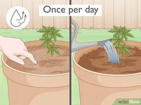 Image titled Grow Autoflowers Outdoors Step 5