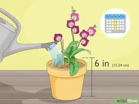 Image titled Care for Mini Orchids Step 2