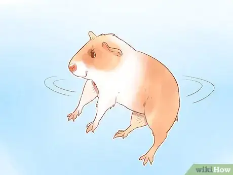 Image titled Understand Guinea Pig Language Step 10