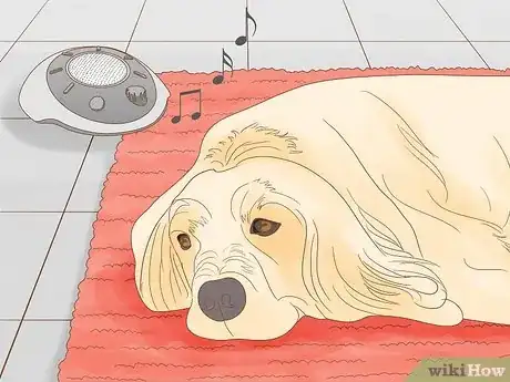 Image titled Treat Hge in Dogs at Home Step 14