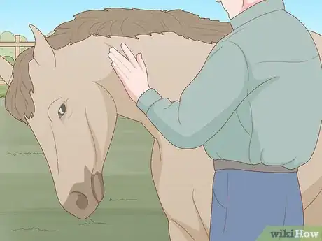 Image titled Know if Your Horse Is Sick Step 10