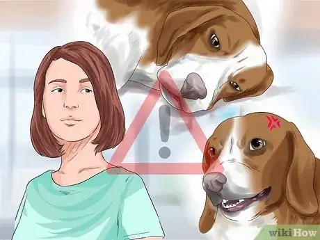 Image titled Get Your Two Dogs to Stop Fighting Step 9