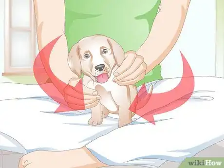 Image titled Clean Puppy Ears Step 1