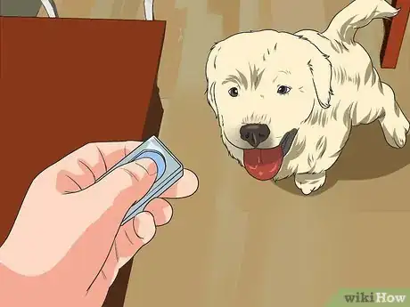 Image titled Train Your Dog from Running out of Your House Step 3