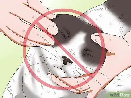 Image titled Give Your Cat Eye Drops Step 9