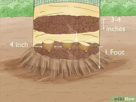 Image titled Grow Potatoes in a Wire Cage Step 10