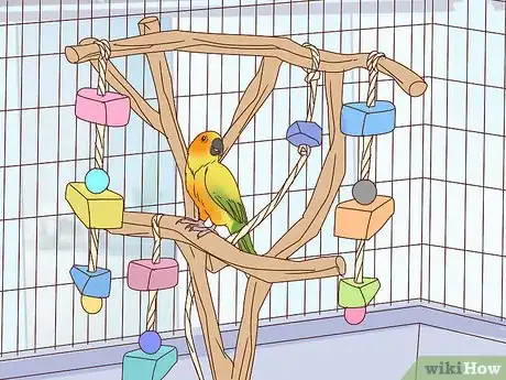 Image titled Keep a Pet Bird Quiet Step 10